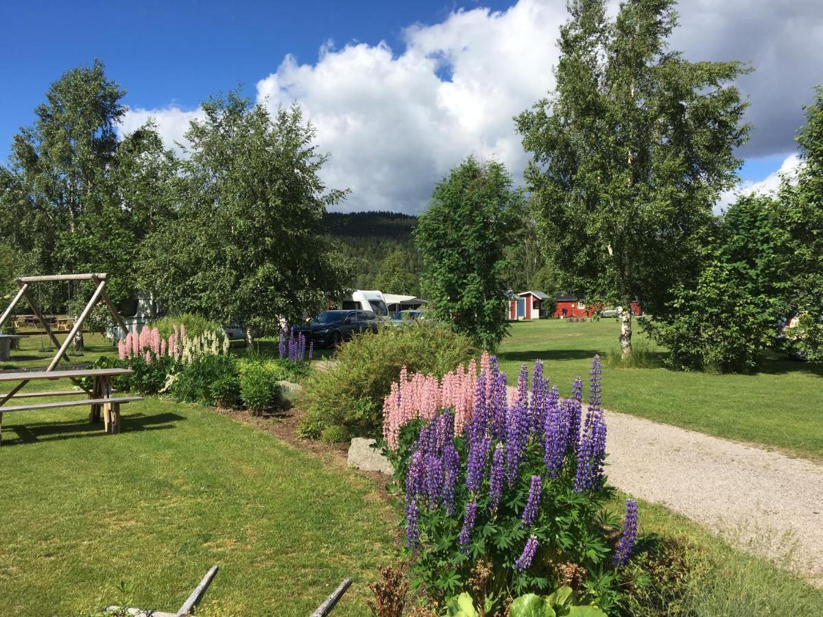 Alevi Camping Stöllet Buitenkant foto